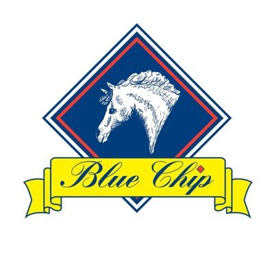 BlueChipFeed Profile Picture