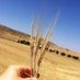 🌾 (@uragan38) Twitter profile photo 🌾 (@uragan38) Twitter profile photo