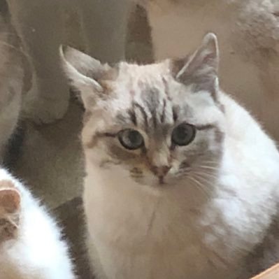 jveuxmuke's profile picture. Fuck off