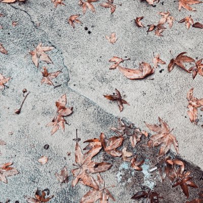 DudeSnkr's profile picture. idk how to hit footsites