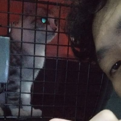 ZahidKautsar's profile picture. Bebas