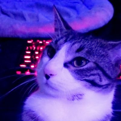 photoさんのプロフィール画像