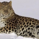 melinda clapp - @melindaclapp - Twitter