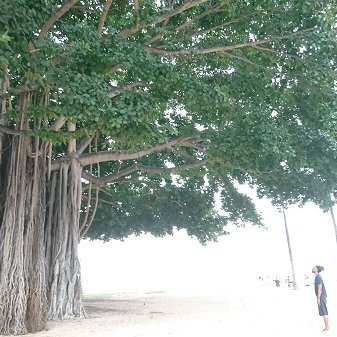 porunga00000's profile picture. ケモインフォマティクスに興味があります。