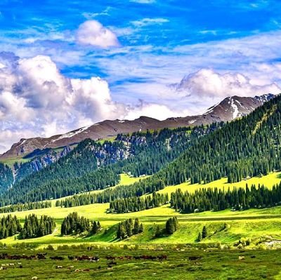 jiexika82307765's profile picture. 堅持到底 唯真不破