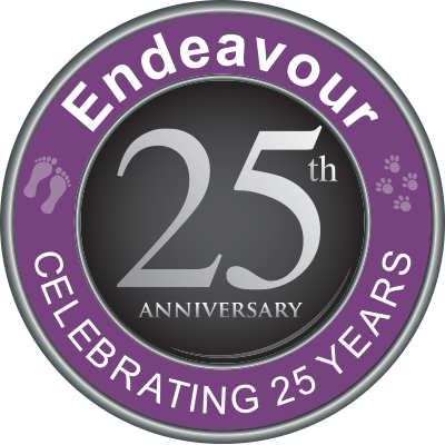 Endeavour Domestic Abuse Profile