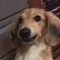 めんまろん (@9bdbn7intqcpmt3) 's Twitter Profile