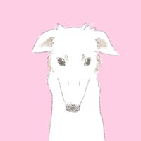 瑞緒 (@mizuo_315) 's Twitter Profile Photo