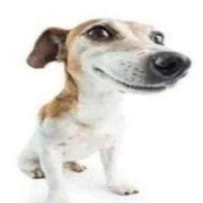 jestemtoba's profile picture. 🇵🇱| cry about it