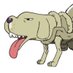 @rassu_kabufire