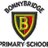 BonnybridgePS