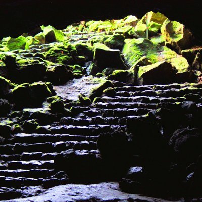 1maya_yamano1's profile picture. やまの　まや　
カクヨムで小説書いてます
そして公募勢なのです
SF、宇宙、ロボットだいすき