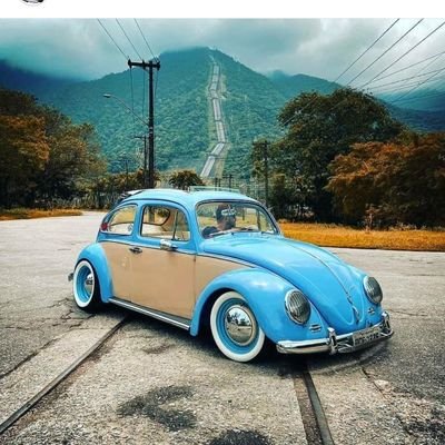Beetleee_'s profile picture. Sensin Külüstürrrr ⚓