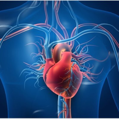 EssexCAN's profile picture. Networked care solutions to improve Cardiac Arrest outcomes across Essex