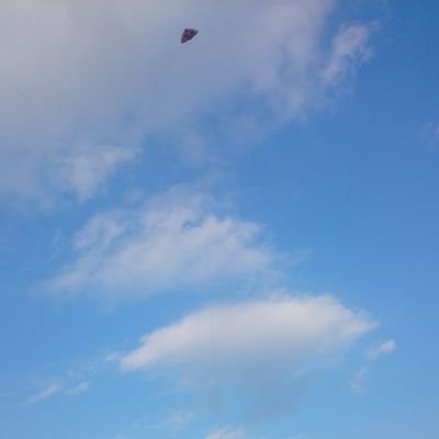 formaggio00's profile picture. 中堅養護教諭🩹そろそろ辞め時？