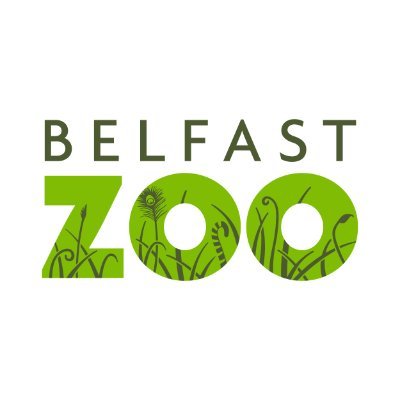 Belfast Zoo Profile