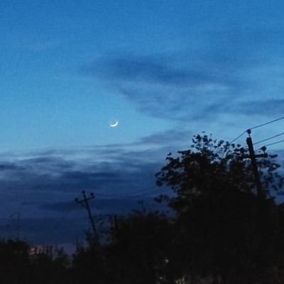 astrographerlol's profile picture. 