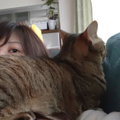 Tomokaさんのプロフィール画像