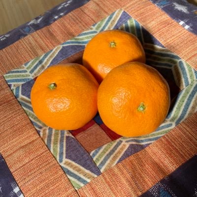 愛媛の宇和島でみかん農家してます。みかんで社会課題を解決するきっかけを作りたいと本気で考えています。美味しさで心の隙間をお埋め致します。