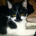 Frank Camargo - @Frank_MerQry - Twitter