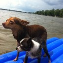 Margo Brooks - @Margie3k - Twitter