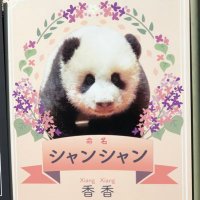 I.I (@90jhtupsdff9fjx) Twitter profile photo