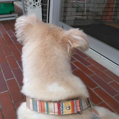 ちゃむ (@charm_8111) / X