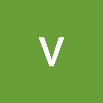 vamsi vs Profile