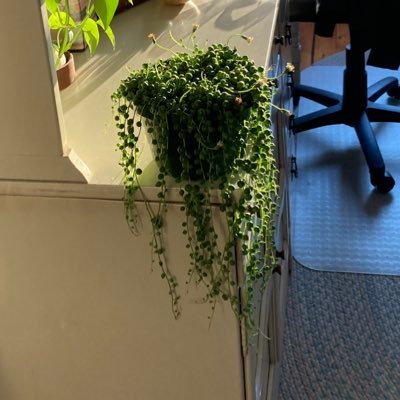 tunneloftrees_'s profile picture. she/her