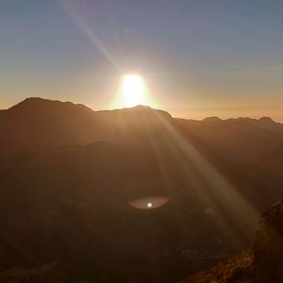 ArealD_A_V_E's profile picture. Writer | Gamer | Winter flower appreciator | I'm always writing something | Unhealthy quote: Nothing makes you friends faster like shared trauma.
