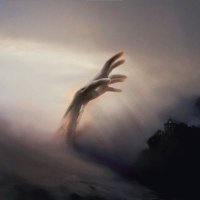 zoari.tez (@zoarinft) 's Twitter Profile