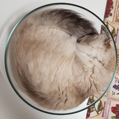 AleMedesi's profile picture. Bio