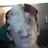 Profile Picture of Ross Charnock (@RosstazMuzik) on Twitter