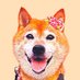 柴犬まろｻﾝ (@maro0324shiba2) Twitter profile photo