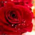 للحياة معني اخر (@redrose40505870) Twitter profile photo للحياة معني اخر (@redrose40505870) Twitter profile photo