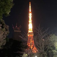 は@ご飯美味しい (@thunder28562) 's Twitter Profile