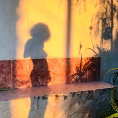 itscoracora's profile picture. Fotografío y hablo con la gente, 🌏 Me gusta moverme por el mundo 📚 Aprendo todo lo que puedo 🏳️‍🌈