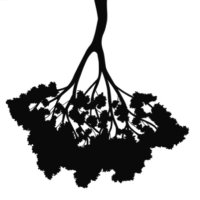 Reflective Tree Games (@reflectivetree) 's Twitter Profile