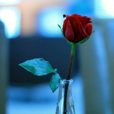 ZOOZ1111776's profile picture. 