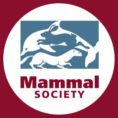 Protecting and restoring British mammal populations for 70 years. Tag #MammalSociety to be featured.