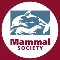Mammal Society (@mammal_society) 's Twitter Profile