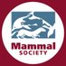 Mammal Society (@mammal_society) Twitter profile photo Mammal Society (@mammal_society) Twitter profile photo
