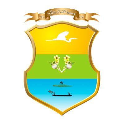 Perfil Oficial de la Alcaldía Municipal de Pijiño del Carmen Magdalena.