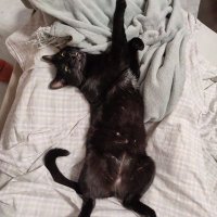 McNolius (@noliusmc) 's Twitter Profile