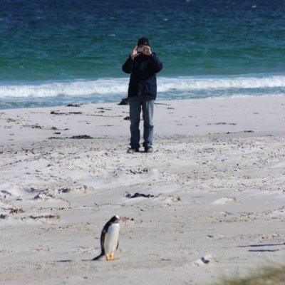 Geek and proud! Engineer, innovator working in broadcast and defence
Unconvinced by Twitter - don't often tweet. Personal account and view
@ThisIsBFBS
@bfbsmi
