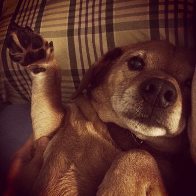 mikedave25's profile picture. #bitcoin #ethereum