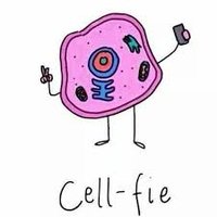 Mrs Hall (@mrshallbio) 's Twitter Profile Photo Mrs Hall (@mrshallbio) 's Twitter Profile Photo