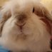 March Hare ๐๐ค๐ - Poundland Edition! (@krakenbun) Twitter profile photo March Hare ๐๐ค๐ - Poundland Edition! (@krakenbun) Twitter profile photo