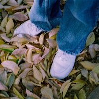 พึกจ๋ายากิ • Season of memories (@pruksayaki) 's Twitter Profile Photo พึกจ๋ายากิ • Season of memories (@pruksayaki) 's Twitter Profile Photo
