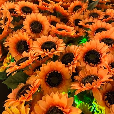 RuthSp8's profile picture. views are my own